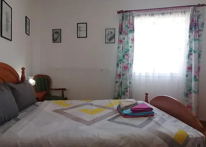 Geranios N.25 イコー・デ・ロス・ビノス