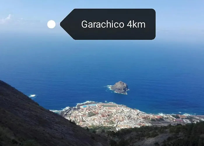 Geranios N.25 イコー・デ・ロス・ビノス